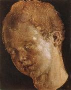 Albrecht Durer Head of a boy facing toward the left Germany oil painting artist